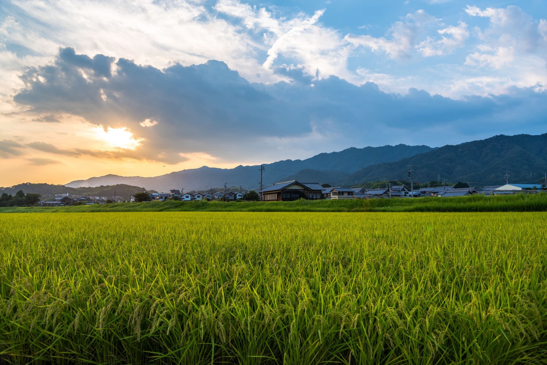 AdobeStock_118454268